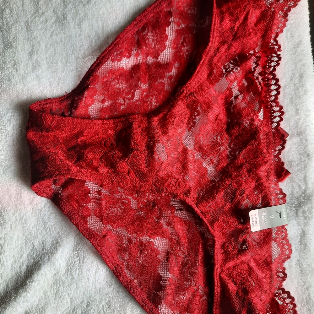 Torrid hipster panties